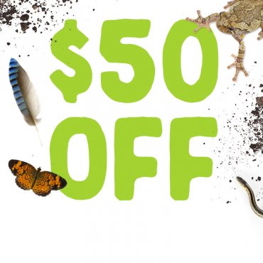 $50 OFF on Select CincyNature Summer Camp Openings!