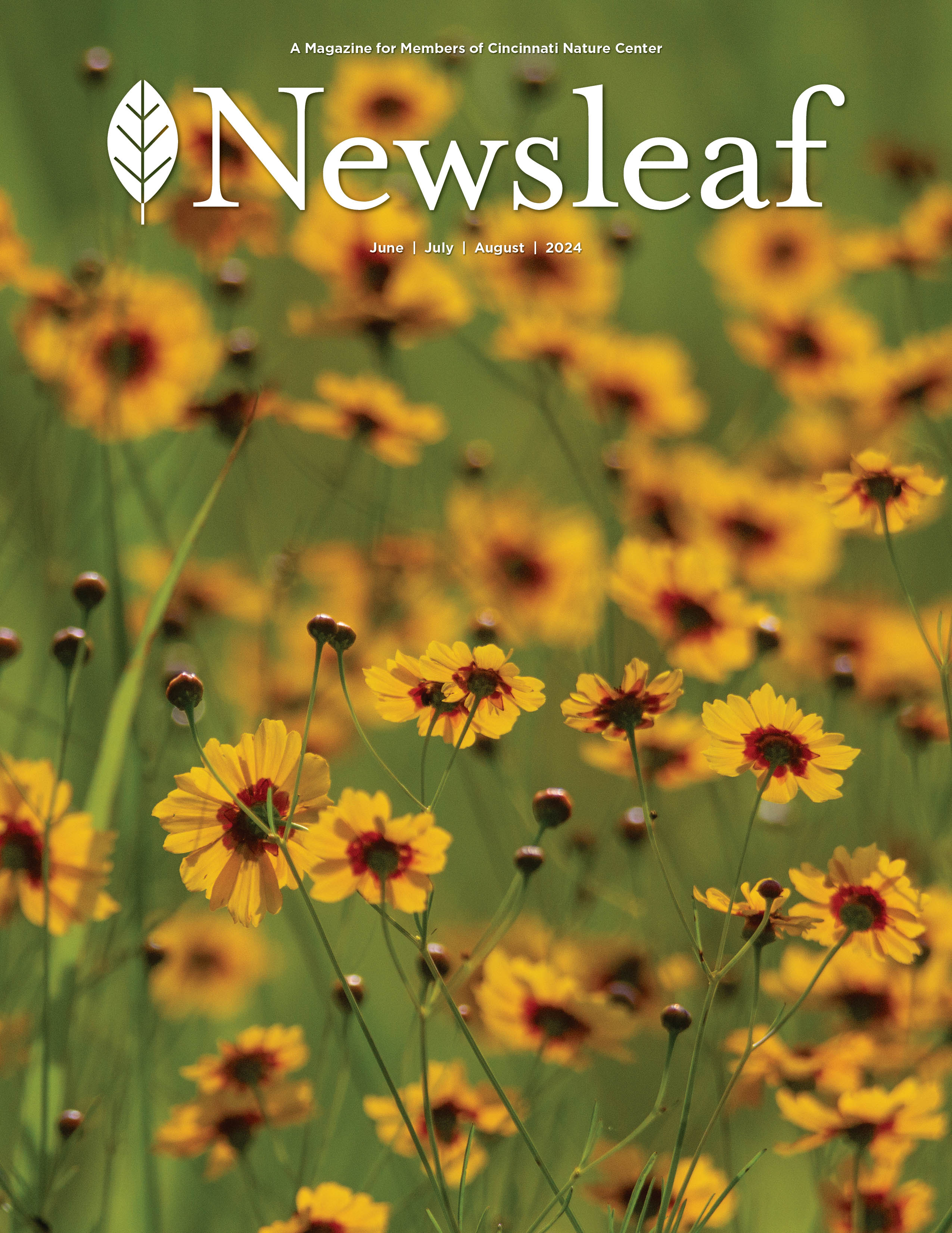Newsleaf logo with a photo of plains coreopsis (Coreopsis tinctoria).