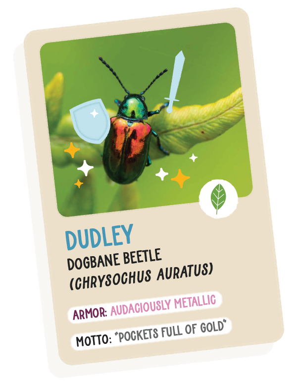 Trading card of Dudley, the dogbane beetle.