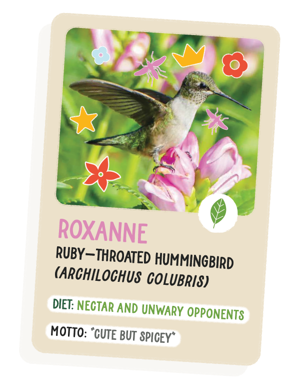 Trading card of Ruby, the ruby-throated hummingbird.