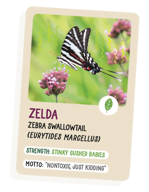 Trading card of Zelda, the zebra swallowtail.