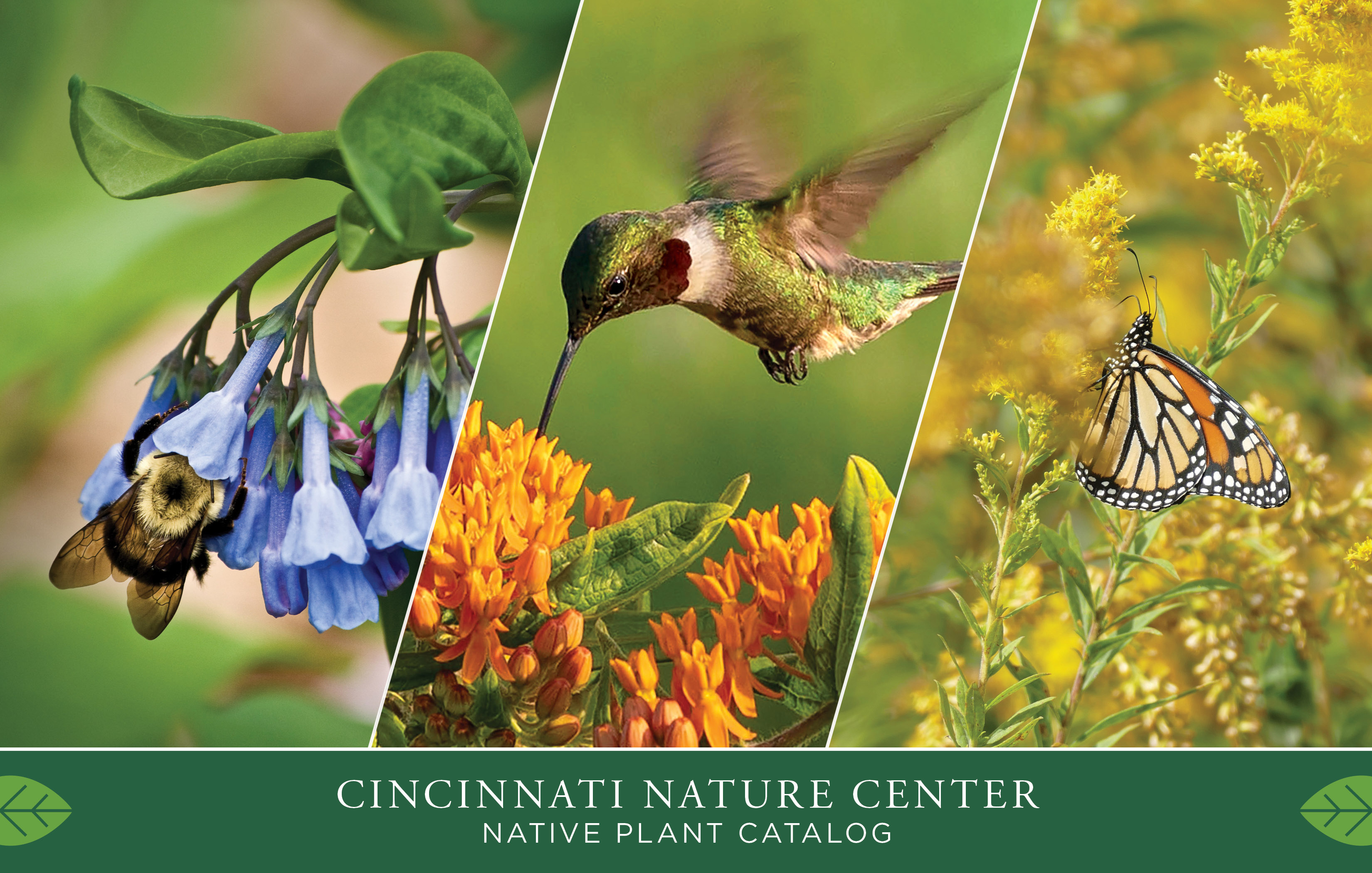 Cincinnati Nature Center's native plant catalog.